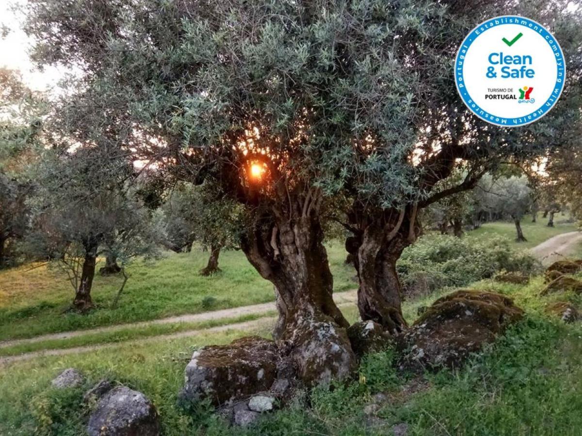 ホテル Convento Da Provenca ポルタレグレ エクステリア 写真